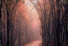 乐天堂：没反应过来？居莱尔造点后莫德里奇场上发问：是点球吗？.