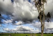 乐天堂：[足球之夜]墨脱：高原孤岛上的足球沃土.