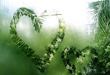 [高尔夫]世界前十：森川攀升到第四 亨利夺冠冲进前十位.