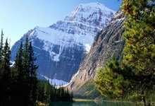 乐天堂：足球市场：国米正在关注佩皮、雷纳等名年轻的美国球员.