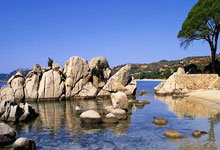 乐天堂：经纪人：任何球员都想在孔蒂麾下效力，但德拉古辛与热刺签了长约.